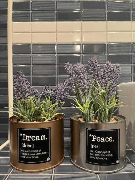 Ideal Apartamento En Sanvi サン・ビセンテ・デ・ラ・バルケラ エクステリア 写真
